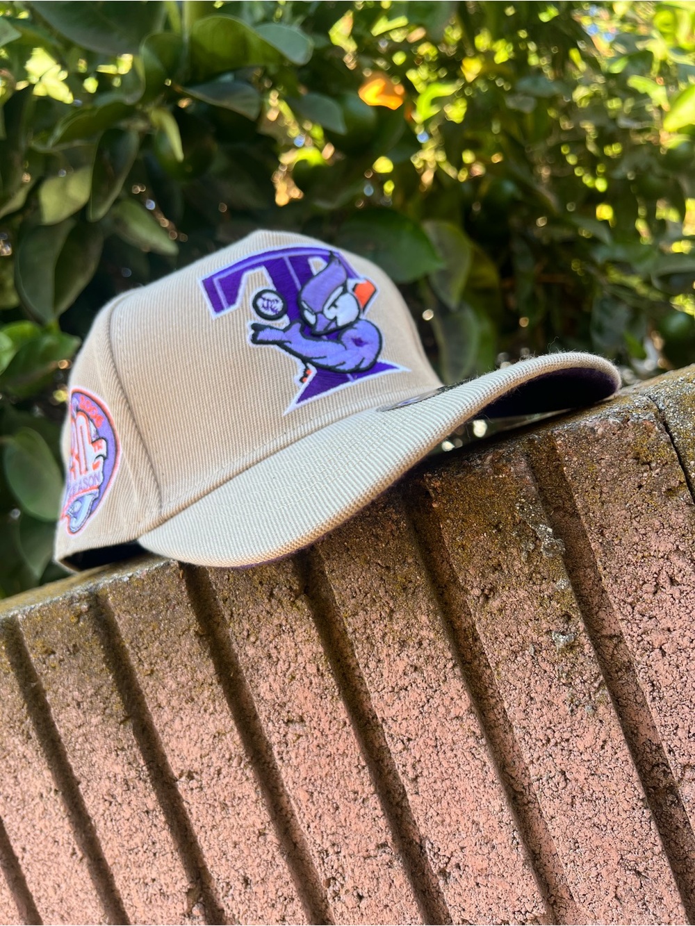 TORONTO BLUE JAYS CURVED BILL SNAPBACK HAT